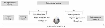 Transcranial Alternating Current Stimulation (tACS) Does Not Affect Sports People’s Explosive Power: A Pilot Study